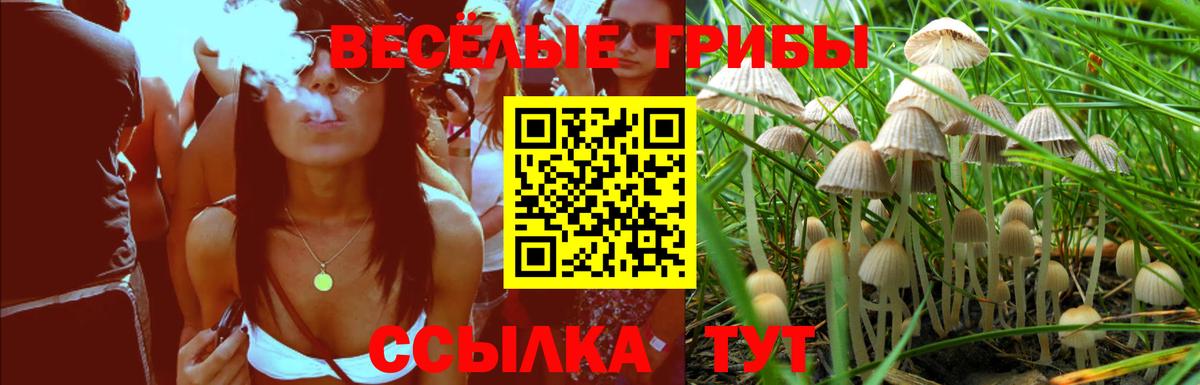 Галлюциногенные грибы прущие грибы  Вход с VPN  Галлюциногенные грибы Magic Shrooms  Верхняя Пышма 